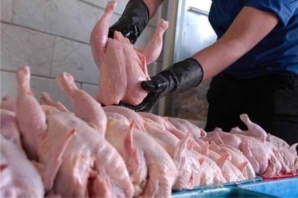 توزیع مرغ 15 هزاری از فردا در تهران