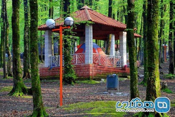 پارک جنگلی امام رضا یکی از تفرجگاه های معروف استان گلستان پارک جنگلی امام رضا یکی از تفرجگاه های معروف استان گلستان است
