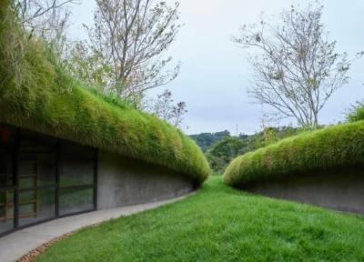 کتابخانه ای با معماری بی نظیر در زیر یک مزرعه در ژاپن